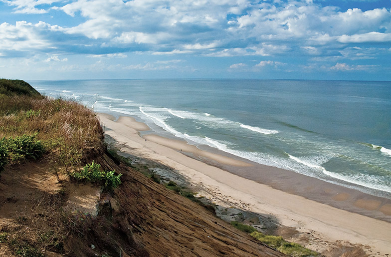 Cape Cod beach